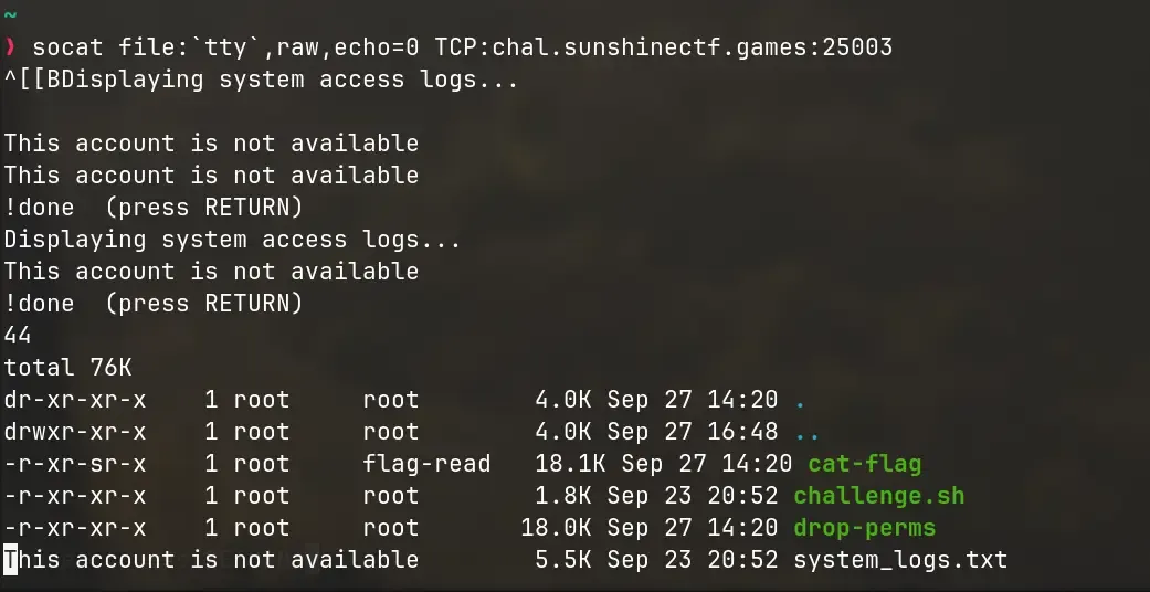 Terminal showing the contents of the current directory