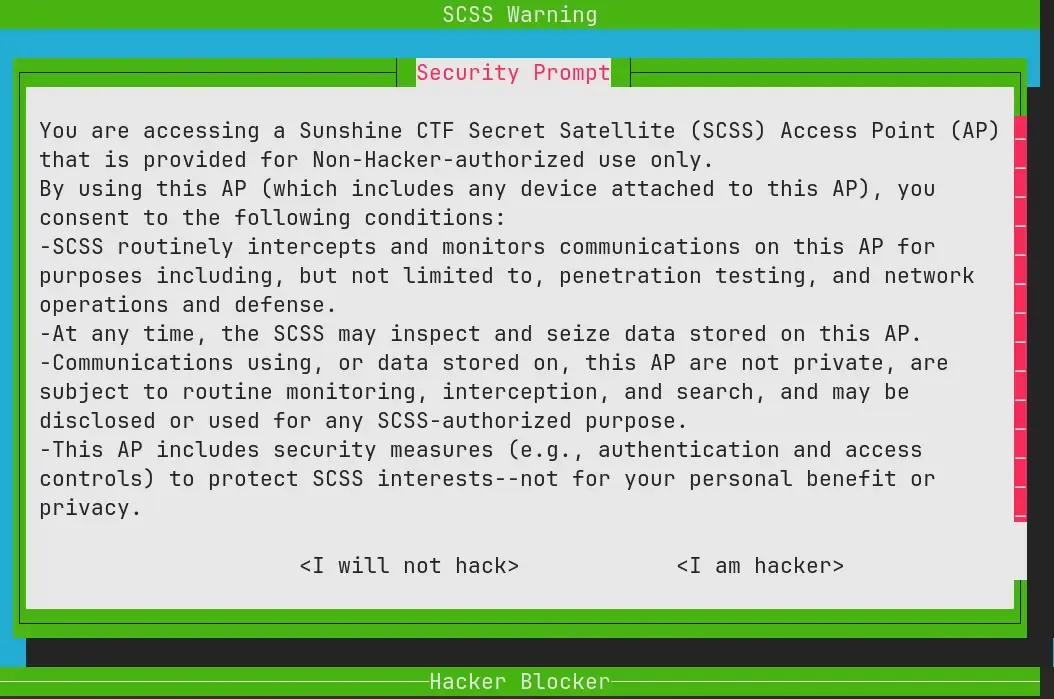 Terminal window showing a security prompt